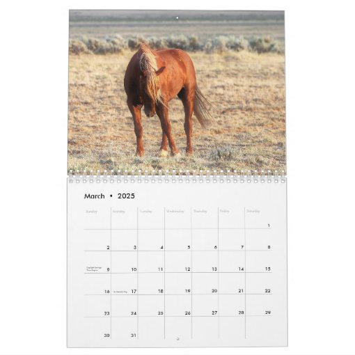 McCullough Peaks Wild Horses Calendar | Zazzle