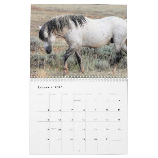 McCullough Peaks Wild Horses Calendar | Zazzle