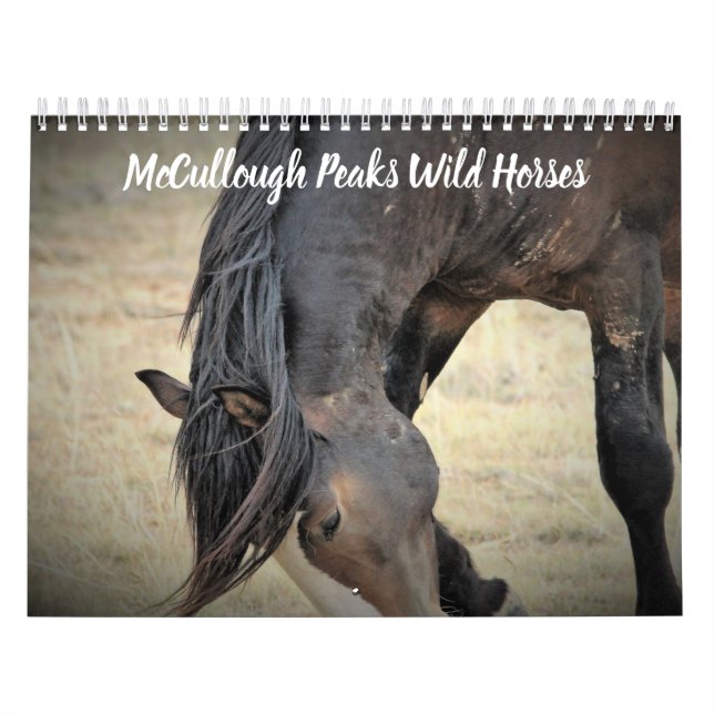 McCullough Peaks Wild Horses Calendar (Cover)