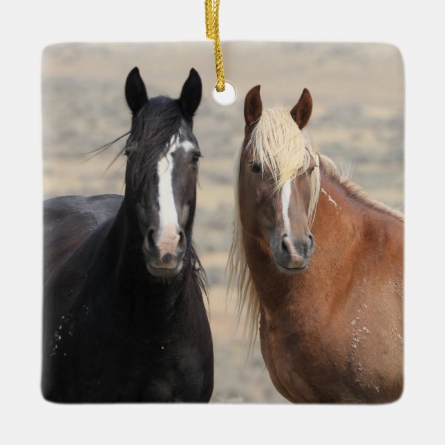 McCullough Peaks Wild Horses Ceramic Ornament (Front)