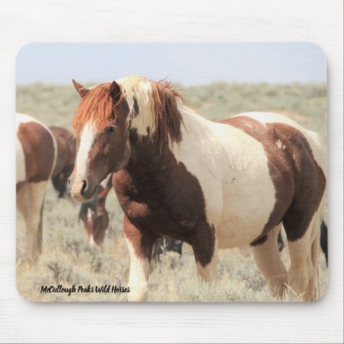 McCullough Peaks Wild Horses Mouse Pad