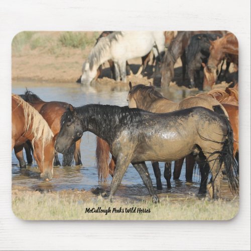 McCullough Peaks Wild Horses Mouse Pad