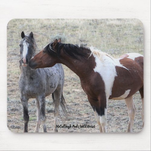 McCullough Peaks Wild Horses Mouse Pad