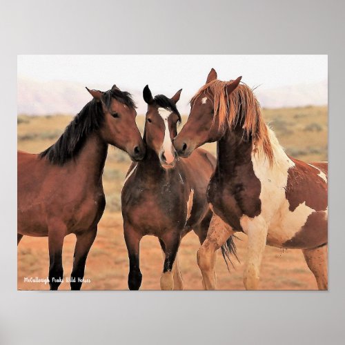 McCullough Peaks Wild Horses Poster