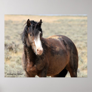 McCullough Peaks Wild Horses Poster