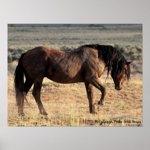 McCullough Peaks Wild Horses Poster