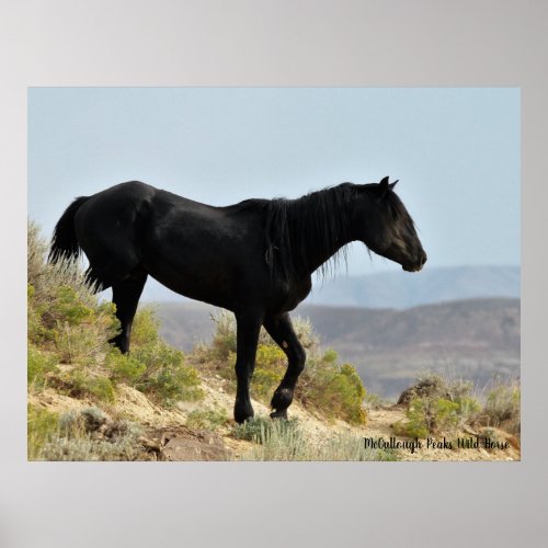 McCullough Peaks Wild Horses Poster