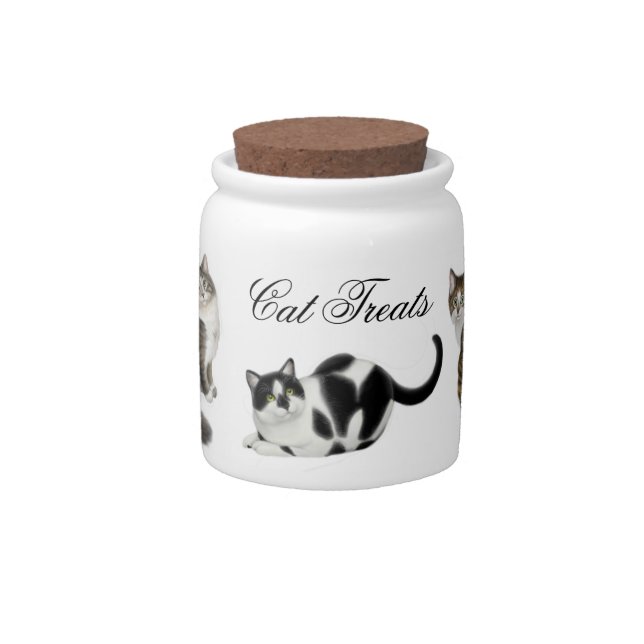 McFann Family Felines Customizable Cat Treat Jar (Front)