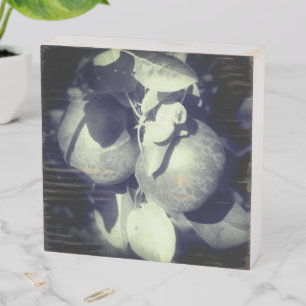 McIntosh Apples On Tree In Black And White Wooden Box Sign