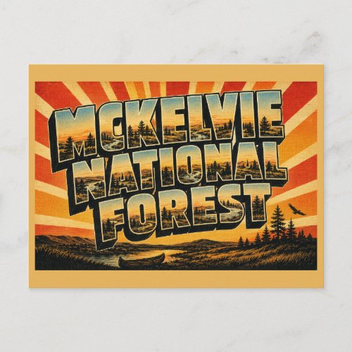 McKelvie National Forest Nebraska Sandhills River Postcard