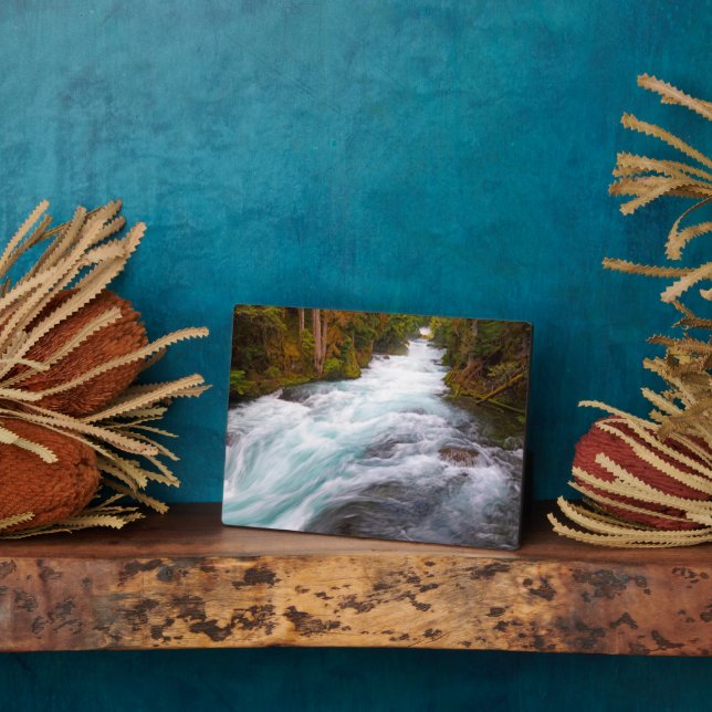 McKenzie River | Oregon Plaque (Side)