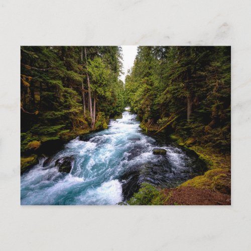 McKenzie River Oregon scenic photograph Postcard