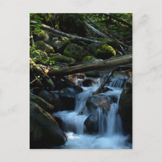 McPhee Creek, Castlegar, British Columbia Postcard