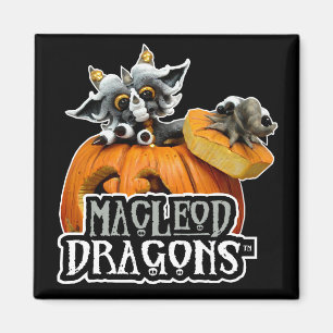 MD Pumpkin Dragon Logo Magnet