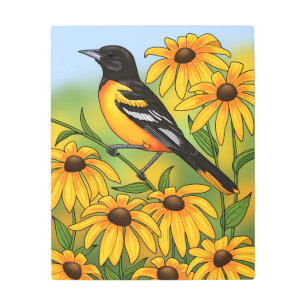 MD State Bird Oriole & Black-eyed Susan Flower Metal Print