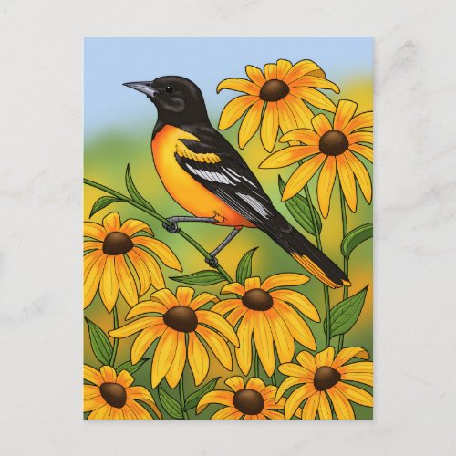MD State Bird Oriole  Black_eyed Susan Flower Postcard