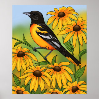 MD State Bird Oriole & Black-eyed Susan Flower Poster