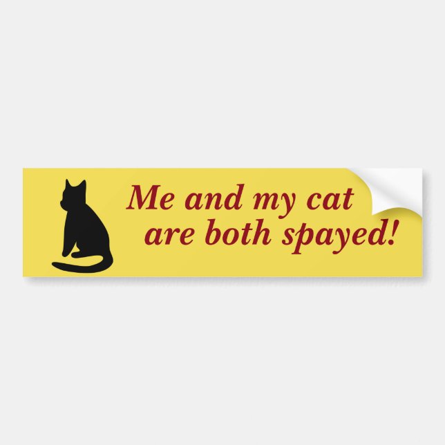 Me And My Cat Bumper Sticker (Front)