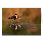 Me and my chick (Front Horizontal)