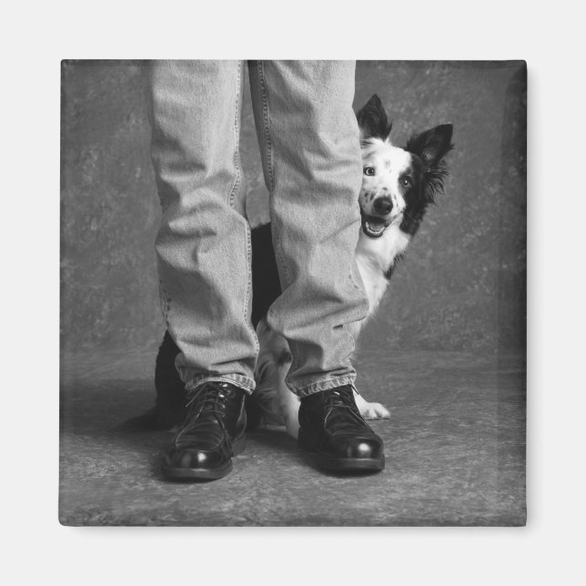 Me and My Shadow - Collie Dog Magnet (Front)