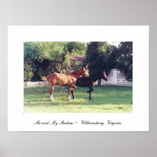 ME & MY SHADOW - canvas Poster