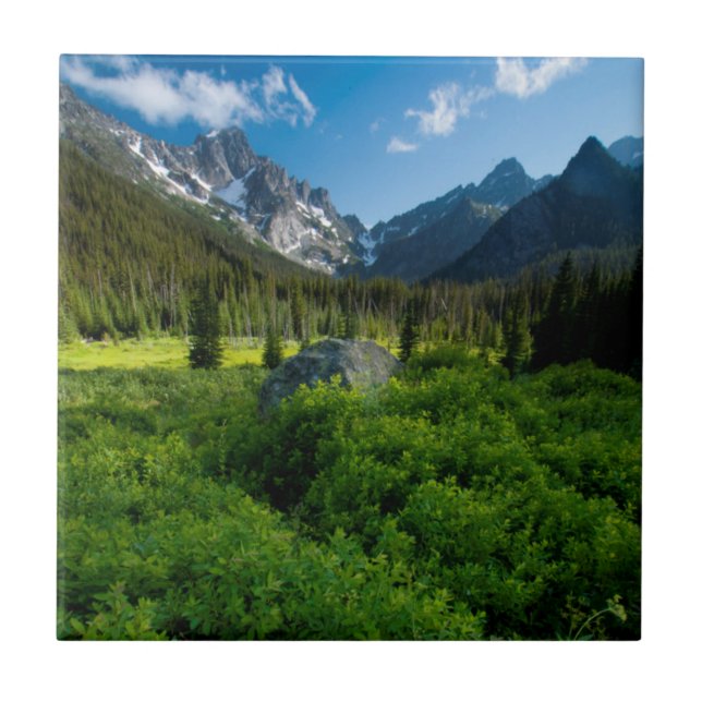 Meadow and Mt. Stuart Ceramic Tile (Front)
