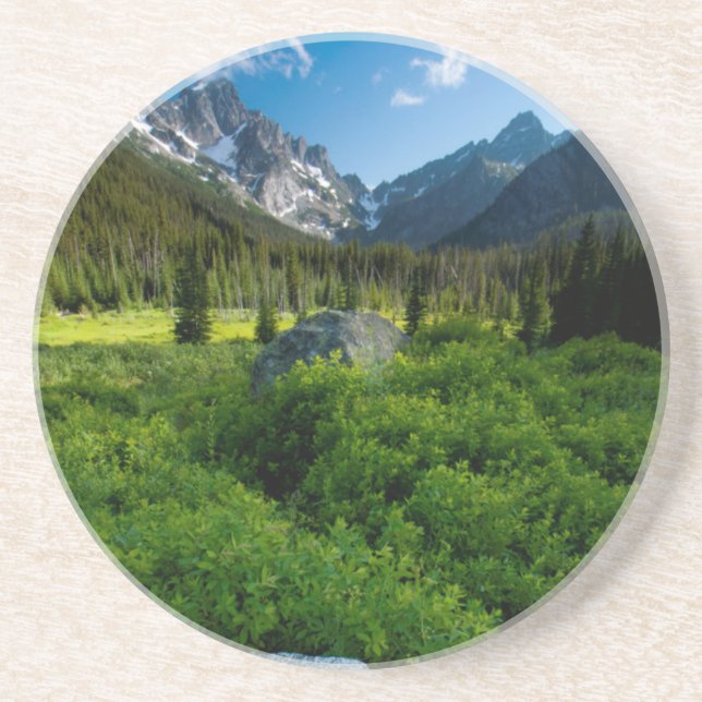 Meadow and Mt. Stuart Drink Coaster (Front)