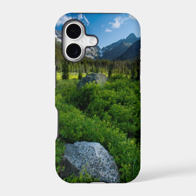 Meadow and Mt. Stuart Iphone Case (Back)