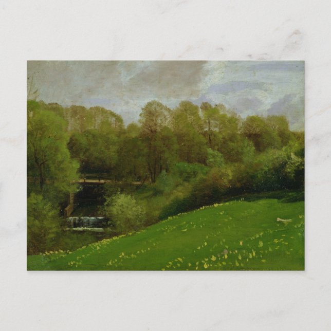 Meadow and Woodland, 1895 Postcard (Front)