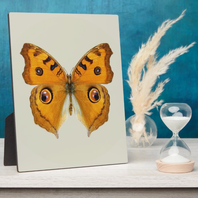 Meadow Argus Butterfly Plaque (Side)