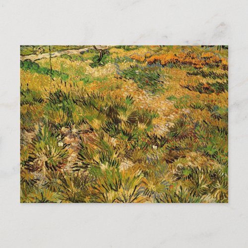 Meadow at Saint Paul Hospital by Vincent van Gogh Postcard