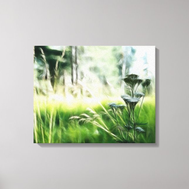 Meadow Canvas Print (Front)