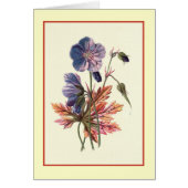 "Meadow Cranesbill" Botanical Illustration (Front)