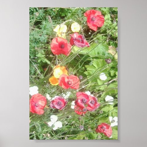 Meadow Dapple Flowers Value Poster _ Very Small