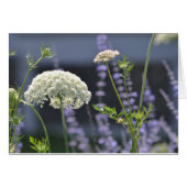 Meadow Flowers (Front Horizontal)