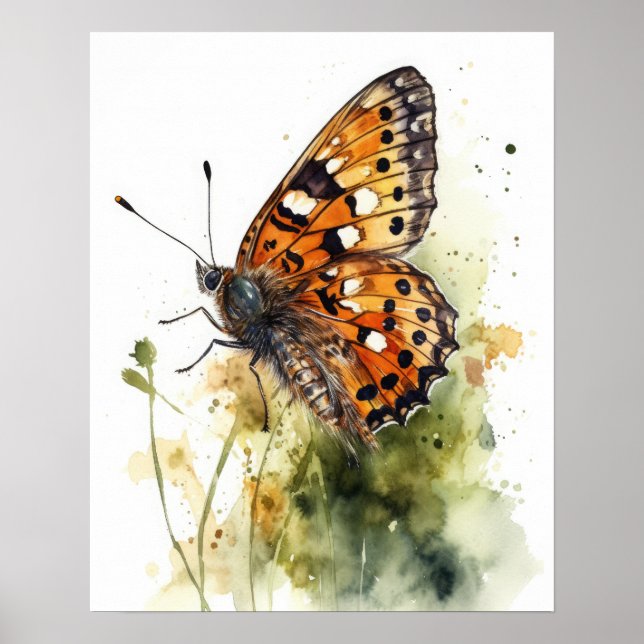 Meadow Fritillary Butterfly Art Print Poster (Front)