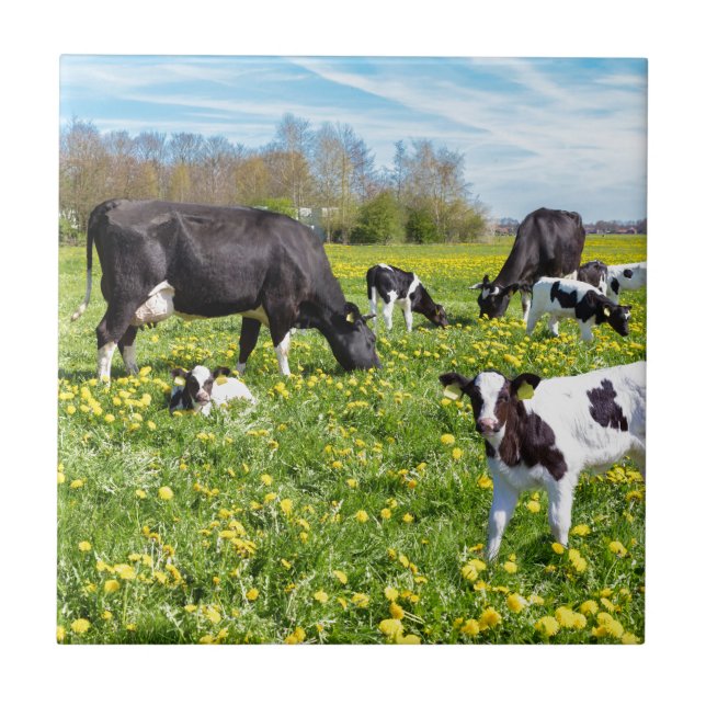 Meadow full of dandelions with grazing cows tile (Front)