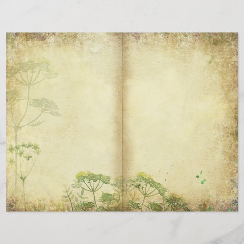 Meadow Herbs Journal Page Scrapbook Paper