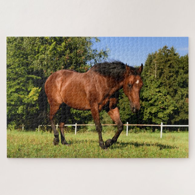 meadow horse puzzle  (Horizontal)