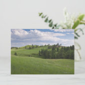 Meadow in Custer State Park (Standing Front)