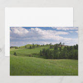 Meadow in Custer State Park (Front/Back)