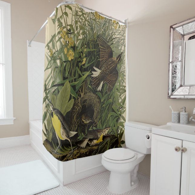 Meadow Lark	from Audubon's Birds of America Shower Curtain (In Situ)