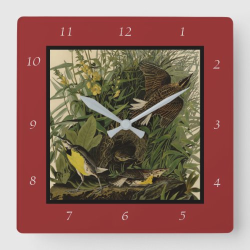 Meadow Lark	from Audubons Birds of America Square Wall Clock