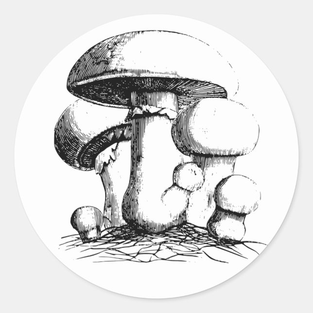Meadow Mushrooms Stickers (Front)