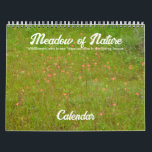 Meadow of Nature Wildflowers Calendar<br><div class="desc">This pretty calendar features my original photographs of a variety of wildflowers, seen in one Texas meadow in the Spring season. Each page of flowers has the identification to the type of wildflower it is. These calendars are high quality and vibrant. You may choose other sizes and other options if...</div>
