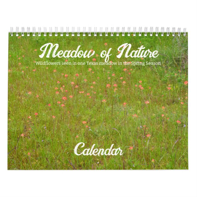 Meadow of Nature Wildflowers Calendar (Cover)