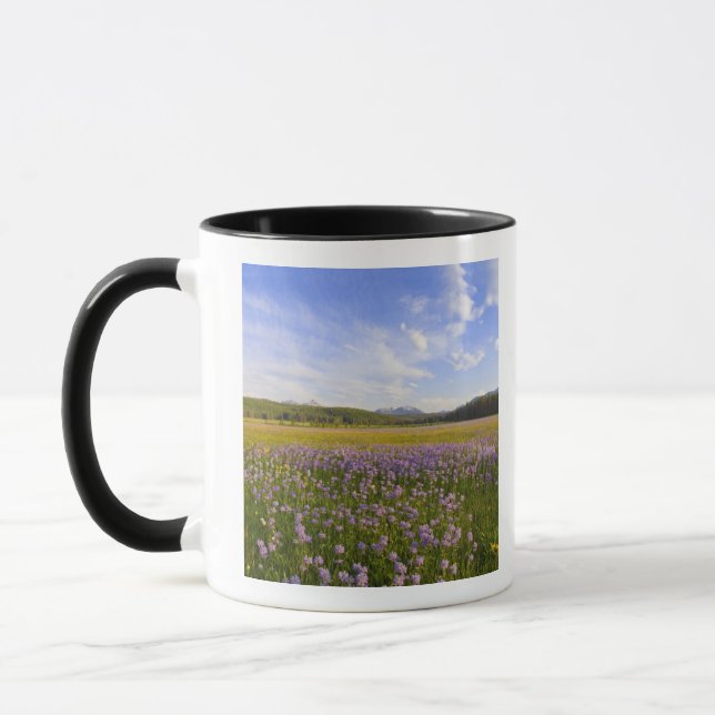 Meadow of penstemon wildflowers in the 2 mug (Left)