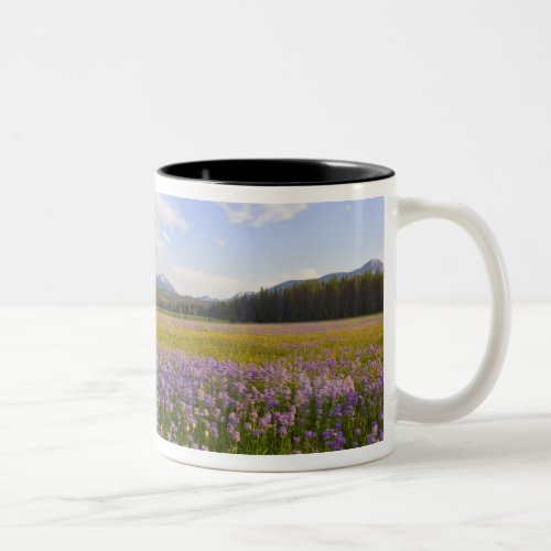 Meadow of penstemon wildflowers in the 2 Two_Tone coffee mug