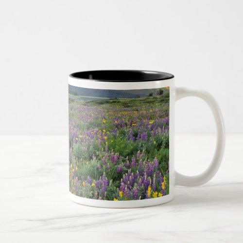 Meadow of wildflowers in the Many glacier Two_Tone Coffee Mug