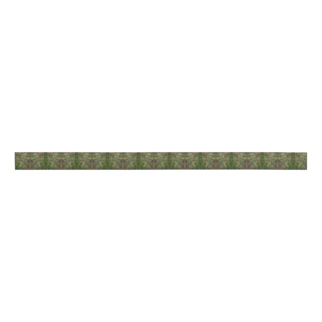 Meadow Seeds Grosgrain Ribbon (Front)